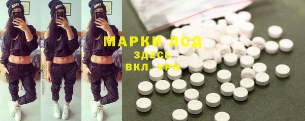 гашик Богданович