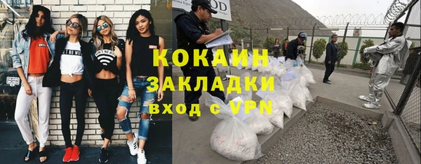 гашик Богданович