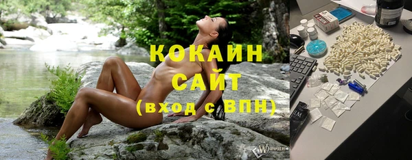 гашик Богданович