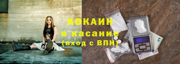 гашик Богданович