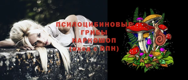 гашик Богданович