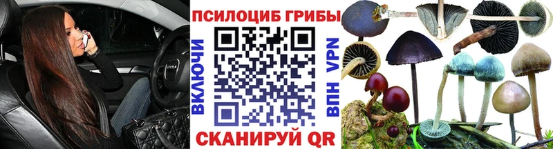 mega как зайти  Котовск  Галлюциногенные грибы мухоморы 